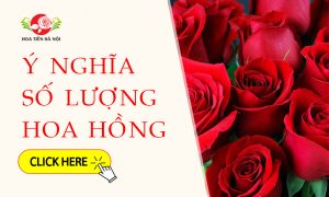 ý nghĩa số lượng hoa hồng