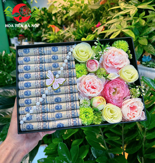 Hộp hoa tiền 20 tờ tiền sang trọng