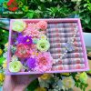 Hộp quà tặng 20 tờ tiền vườn địa đàng
