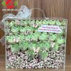 Vali mika 3 triệu tiền mặt quà tặng sinh nhật
